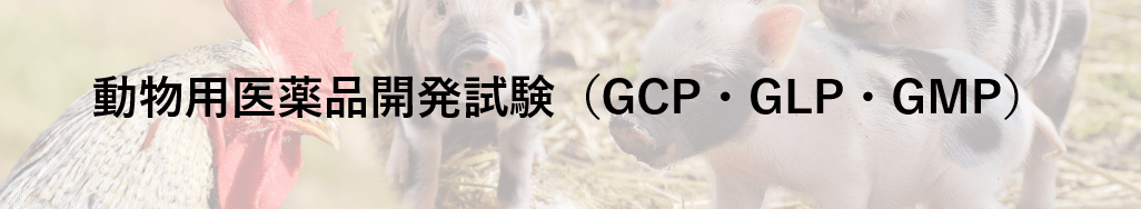 動物用医薬品開発試験